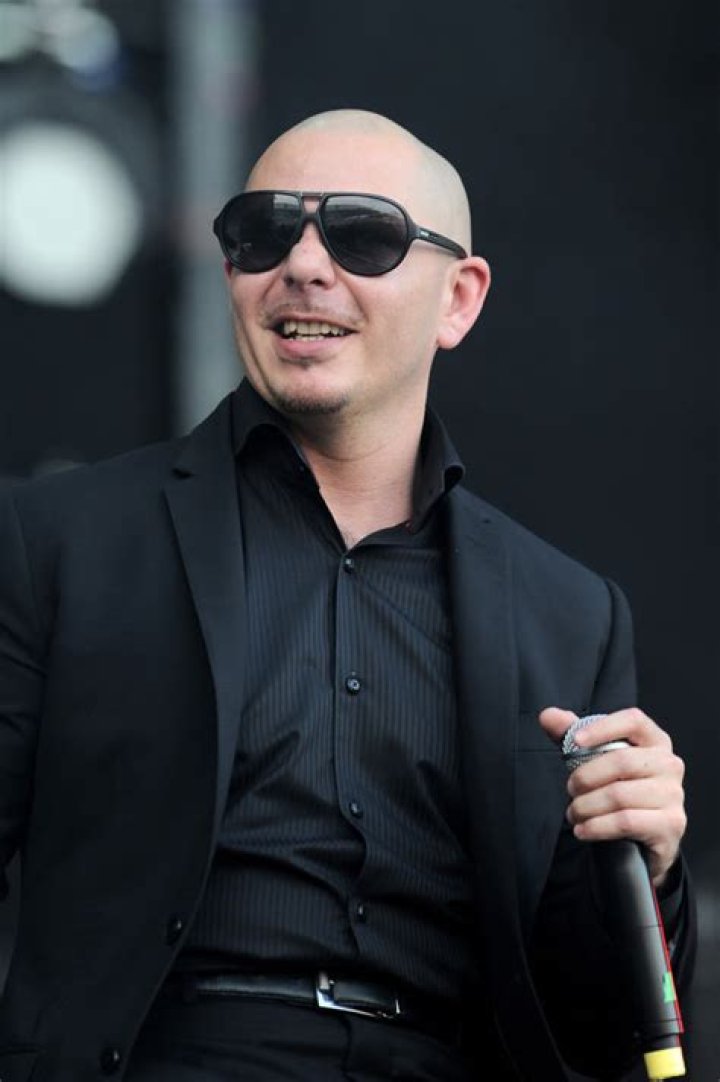 Pitbull (Rapper)'s pet No Pitbulls