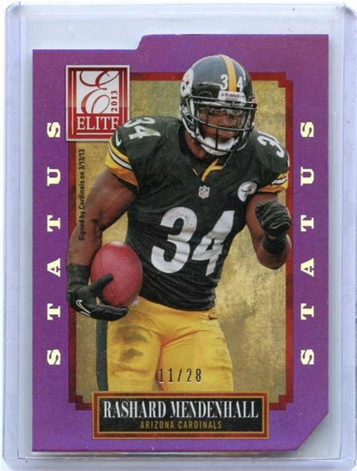 Rashard Mendenhall photo 2