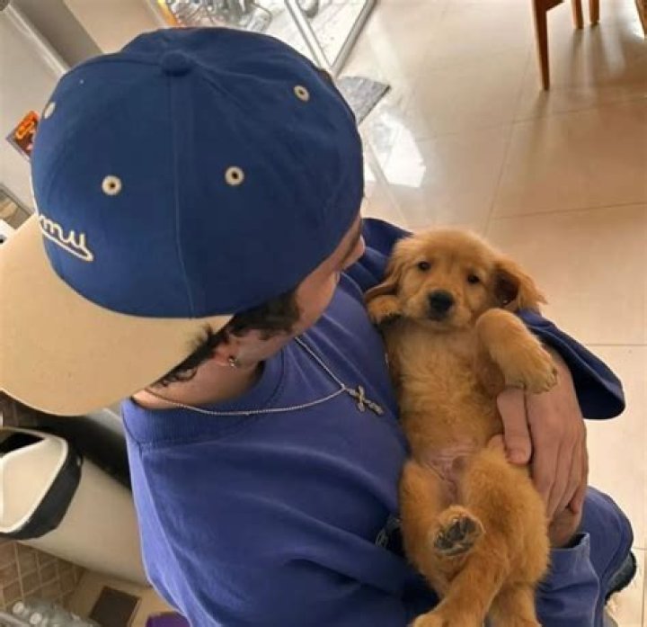 Rodrigo Carrera Pets