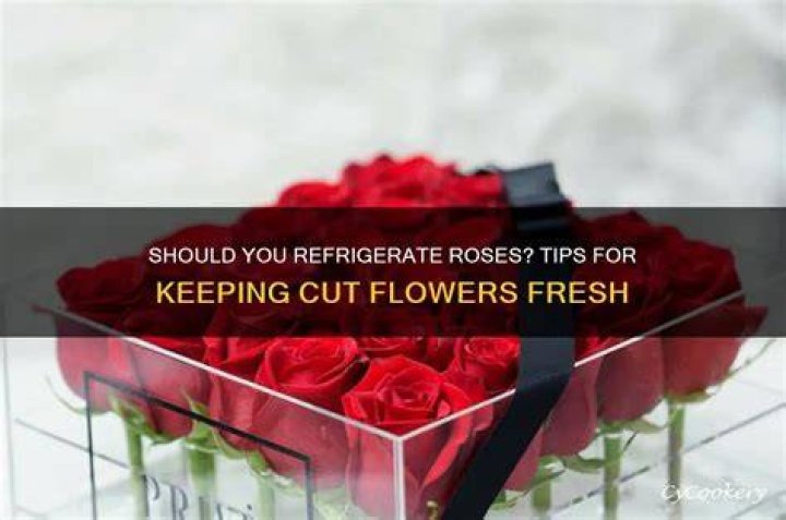 Should you refrigerate flowers?