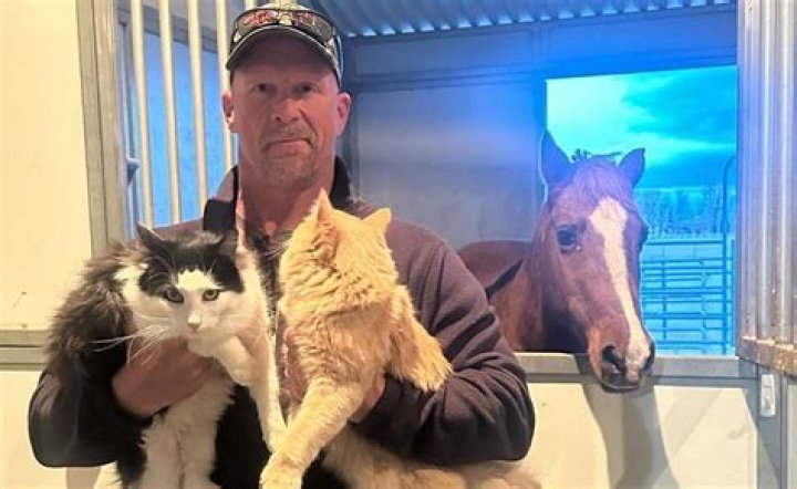 Steve Austin Pets