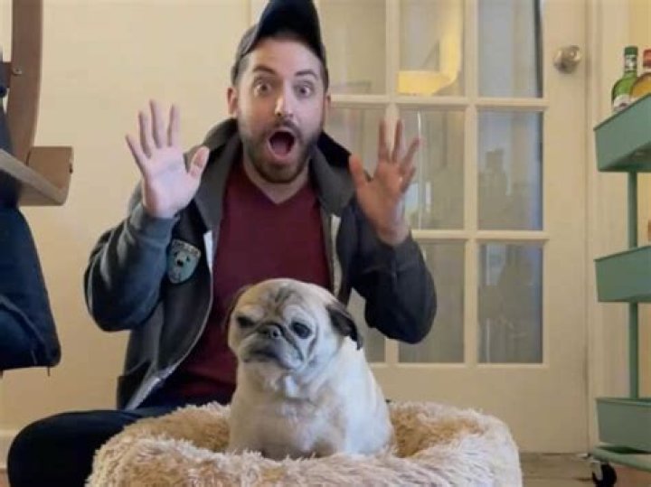 RIP Noodle the Pug! TikTok star ‘Bones or No Bones’ predictions passed away at age 14 TikTok star, Noodle the Pug, has died at age 14