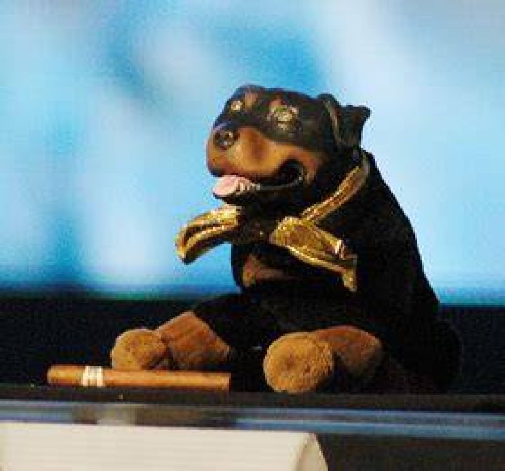 Triumph the Insult Comic Dog Instagram