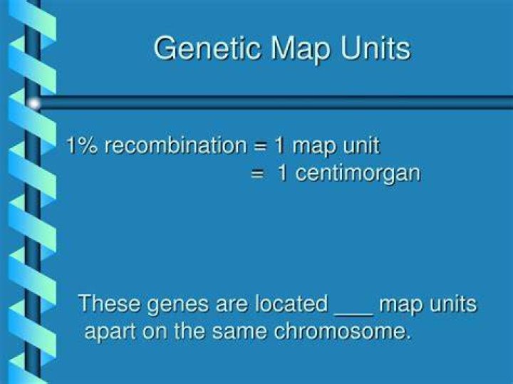 What are map units in genetics?
