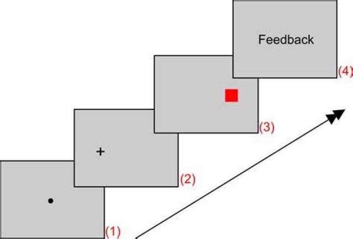 What are spatial cues?