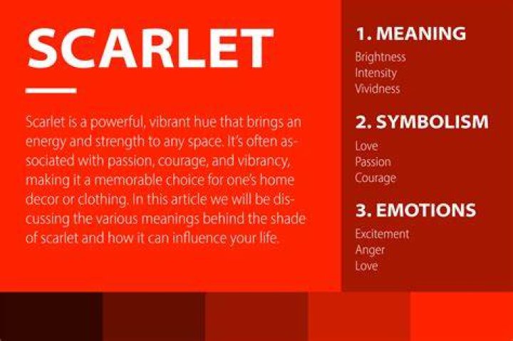 What does a scarlet letter mean?