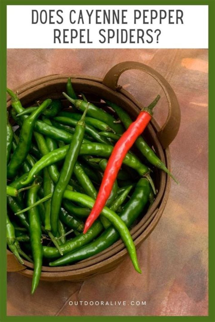 What does cayenne pepper repel?