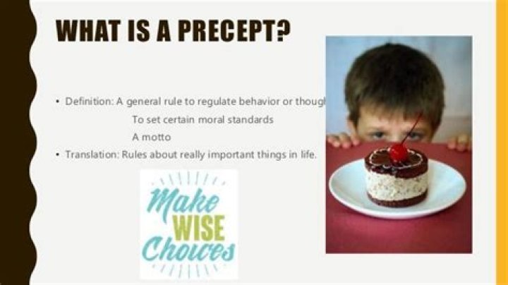 What does precept on precept mean?