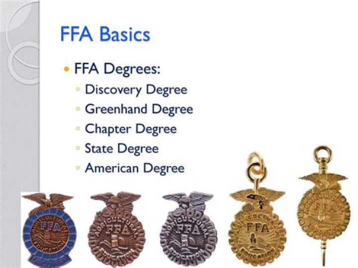 What does the State FFA Degree symbolize?