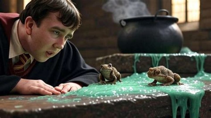 What is in Harry Potter shrinking solution?