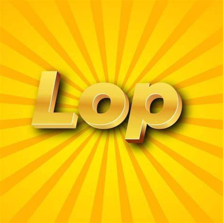 What is lop in text?