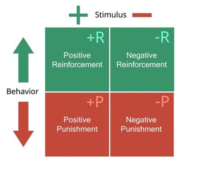 What is opposite punishment?