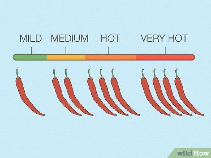 Whats the difference between hot and mild?