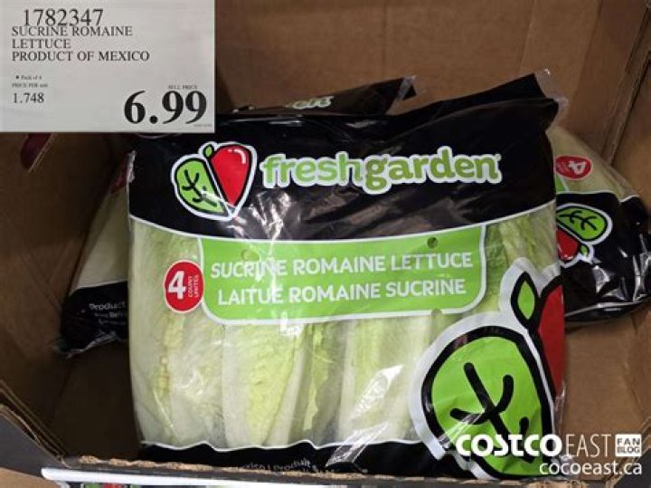 Where does Costco get their romaine lettuce from?