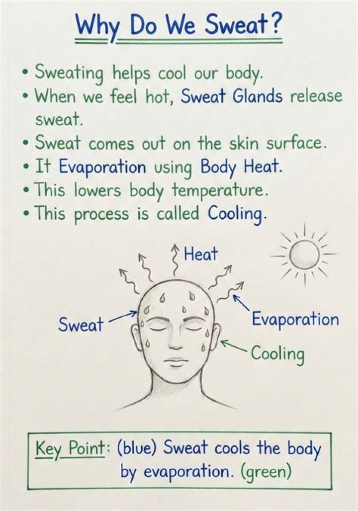 Why do we sweat quizlet?