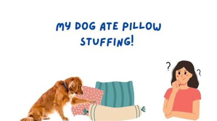 Why does my dog ate pillow stuffing?