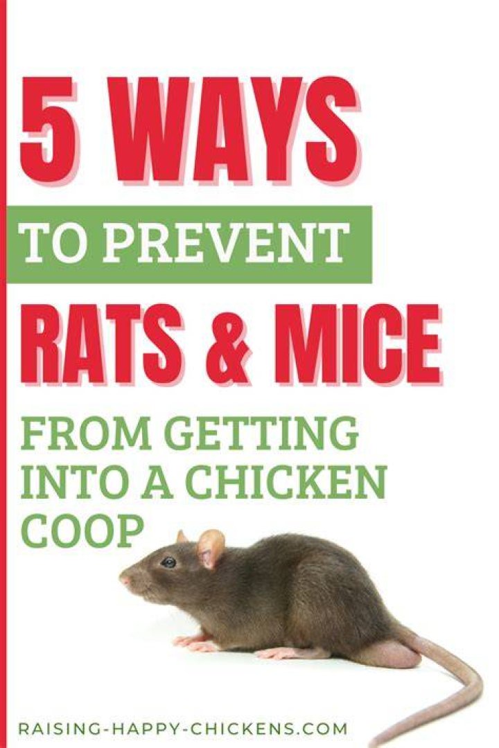 Will chicken wire keep mice out?